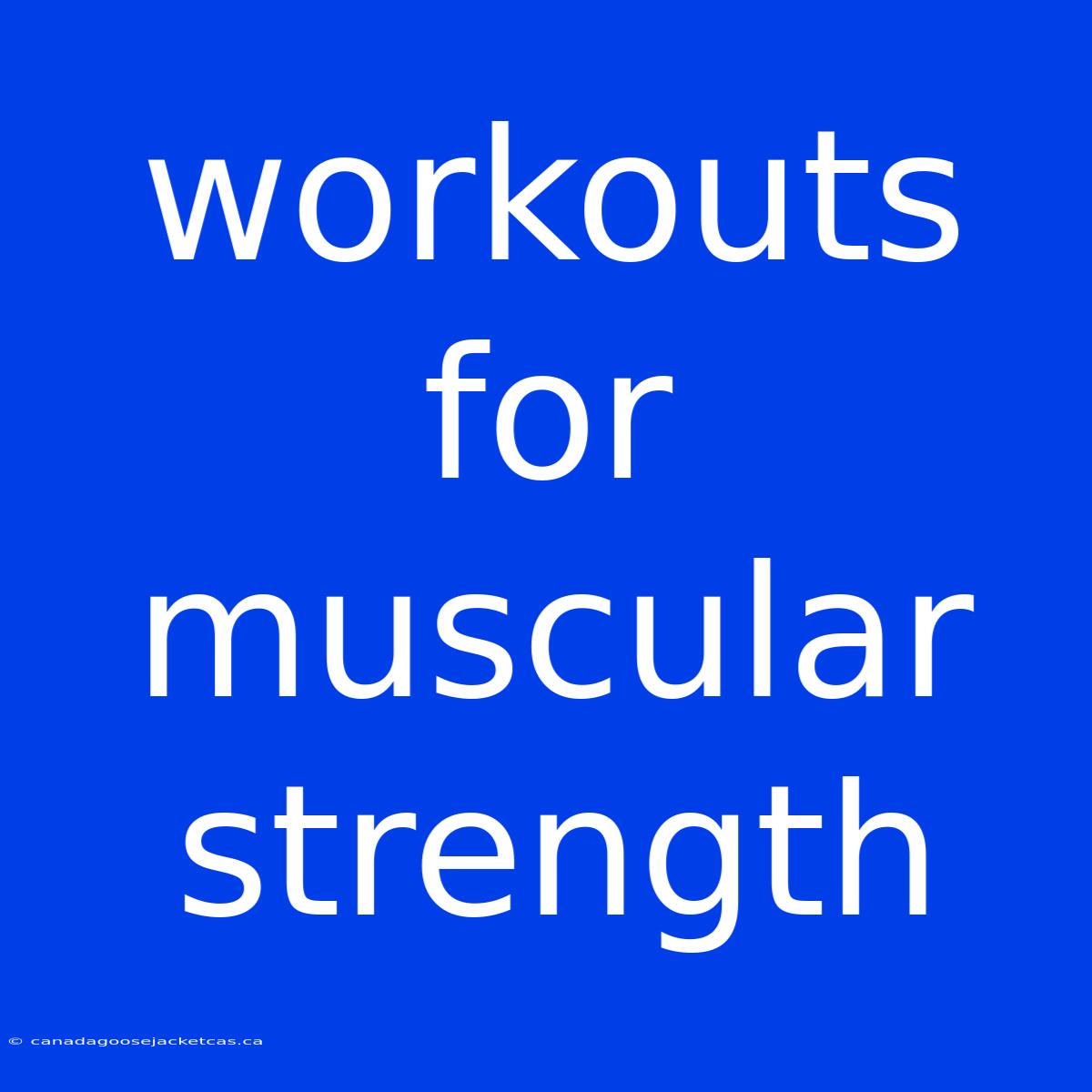 Workouts For Muscular Strength